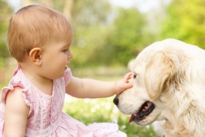 5 Things That Amaze Me About Having Babies and Dogs h